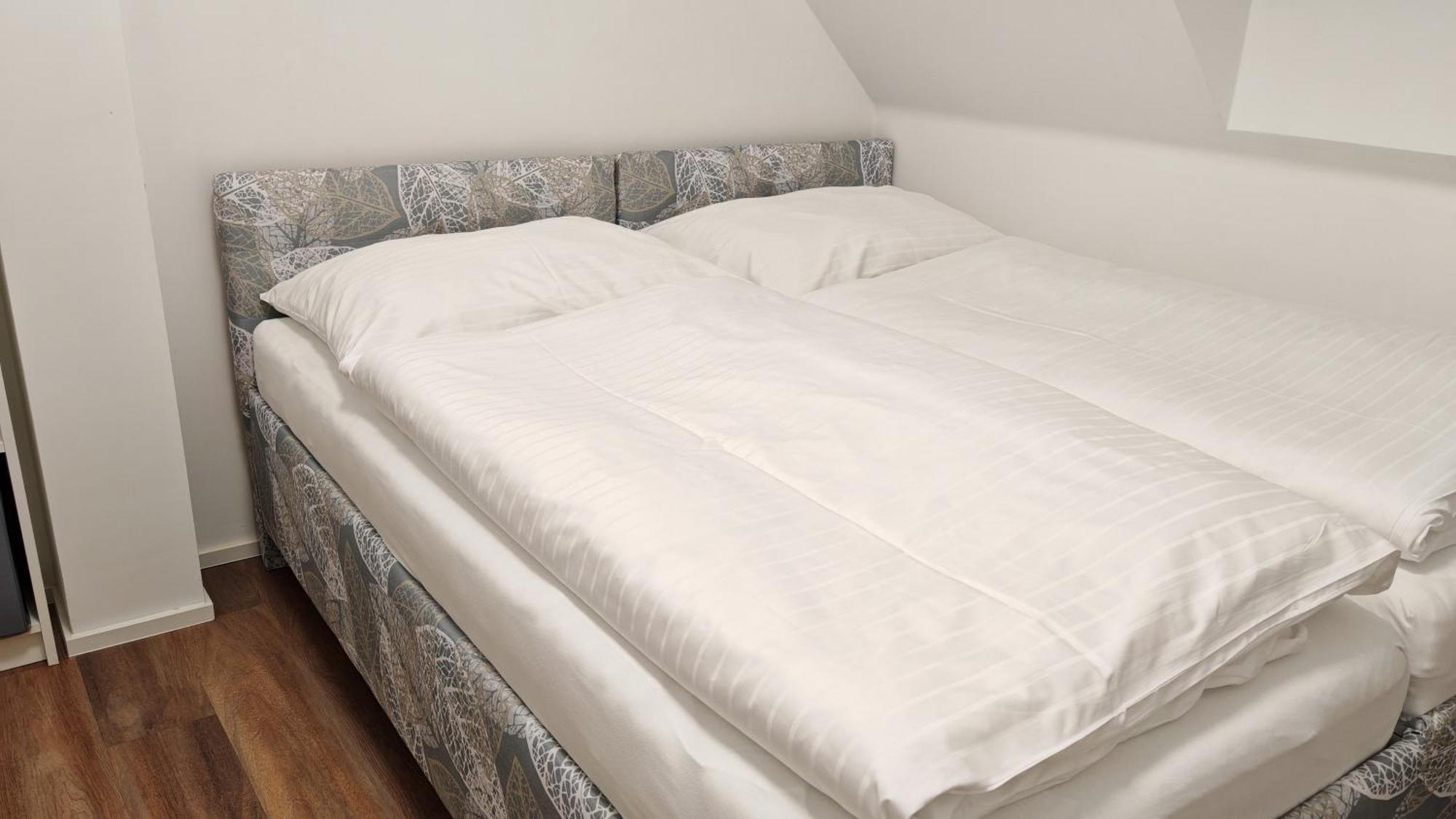 Apartmany Muslovske Vinohrady ミクロフ エクステリア 写真