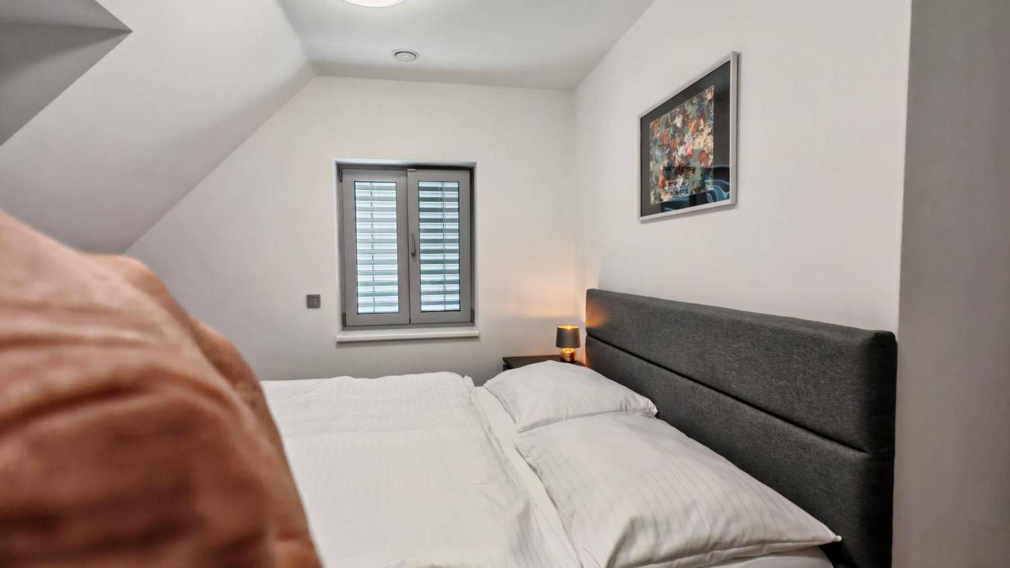 Apartmany Muslovske Vinohrady ミクロフ エクステリア 写真