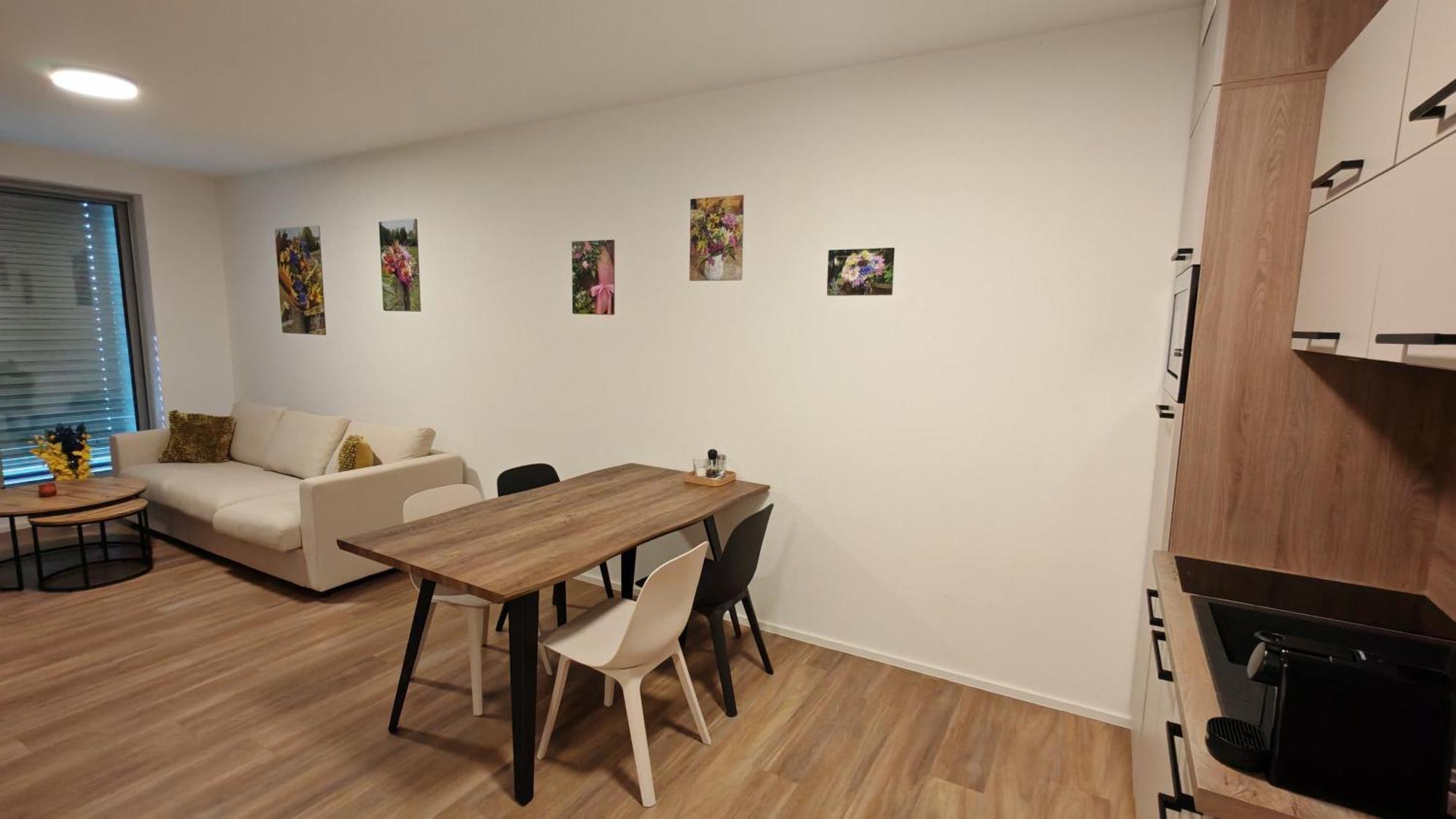 Apartmany Muslovske Vinohrady ミクロフ エクステリア 写真